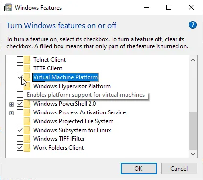 virtual machine platform feature