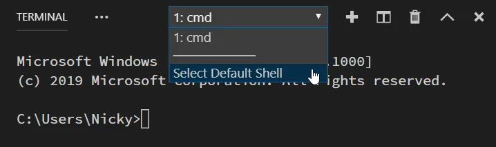 select terminal in Visual Studio Code