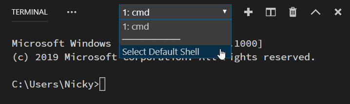 select terminal in Visual Studio Code